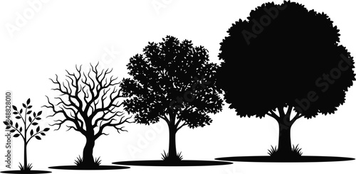 Tree silhouette evolution, sapling to mature canopy, seasonal growth stages, nature transformation, forest life cycle, botanical concept