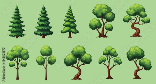 Illustration of various tree types on a green background