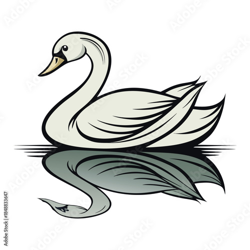 Elegant Swan Floating on Water with Reflection on White Background Keywords: swan, white swan