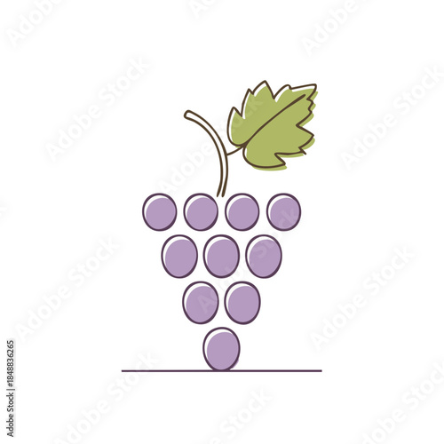 Minimalist Grapes Illustration Vine Fruit Single Line Art Purple Grapes Clustered Fresh Fruit Minimalist Isolated Graphics