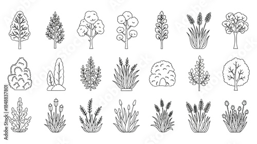 Collection of hand drawn tree and shrub silhouettes in a simple linear style