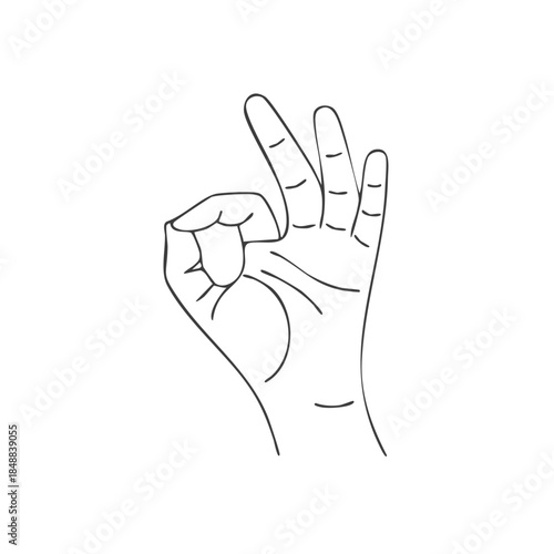 Hand Gesture Showing Approval Alright Okay Perfect Sign Drawing Line Art Concept