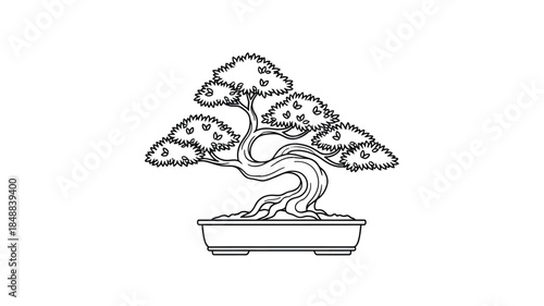 A detailed line drawing of a bonsai tree in a rectangular pot