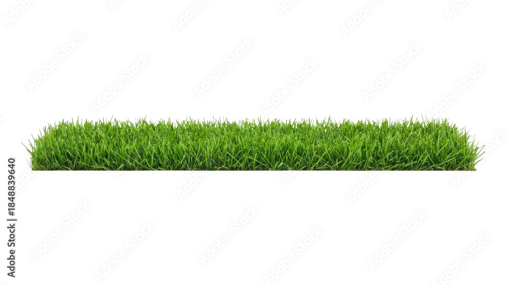 Naklejka premium Isolated Strip of Vibrant Green Grass on White Background
