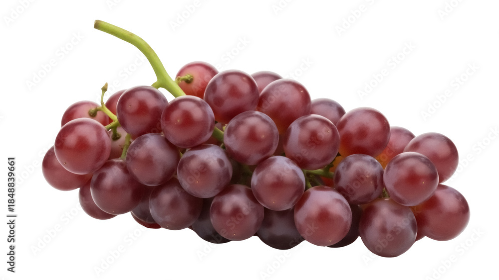 Fototapeta premium Isolated bunch of ripe red grapes ready to eat, a fresh fruit that provides vitamins and minerals