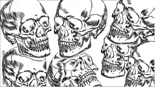 Human Skull Illustration Set – Detailed Anatomical Skull Vector Art in Black and White, Gothic and Horror Style Design