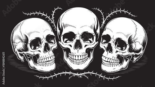 Human Skull Illustration Set – Detailed Anatomical Skull Vector Art in Black and White, Gothic and Horror Style Design