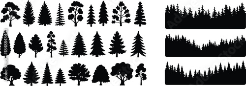 Collection of diverse forest tree silhouettes and seamless woodland borders, pine fir spruce deciduous shapes, black nature vector illustration