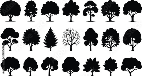 Collection of realistic deciduous tree silhouettes with detailed canopies and trunks, black nature elements set for design, vector illustration