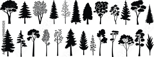 Forest tree silhouettes collection, diverse woodland plants, nature icons set, black vector illustration for ecology design projects, branding, posters, backgrounds