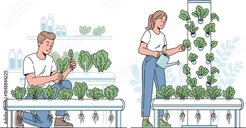 Hydroponic farming, modern agriculture, sustainable food production, organic vegetables, indoor gardening, urban farming, eco friendly lifestyle, healthy greens, vertical farming system