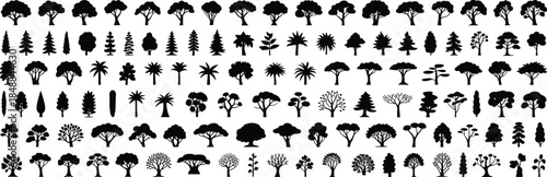 Massive collection of diverse tree silhouettes including conifer deciduous palm and tropical species, black nature icons, vector illustration