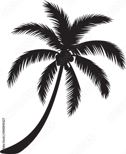  “Palm Tree Silhouette – Tropical Tree Black Vector on White