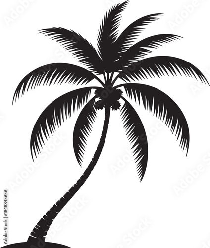  “Palm Tree Silhouette – Tropical Tree Black Vector on White