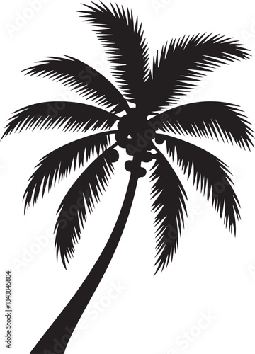  “Palm Tree Silhouette – Tropical Tree Black Vector on White