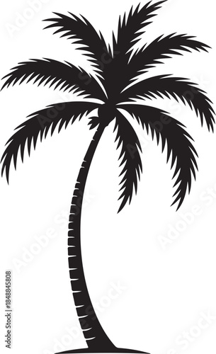  “Palm Tree Silhouette – Tropical Tree Black Vector on White