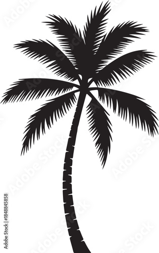  “Palm Tree Silhouette – Tropical Tree Black Vector on White