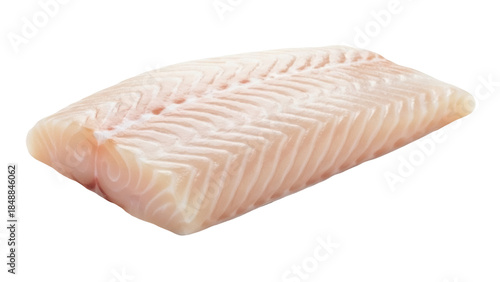 Photography Isolated uncooked fish fillet, fresh piece of cod or halibut, healthy diet, gour