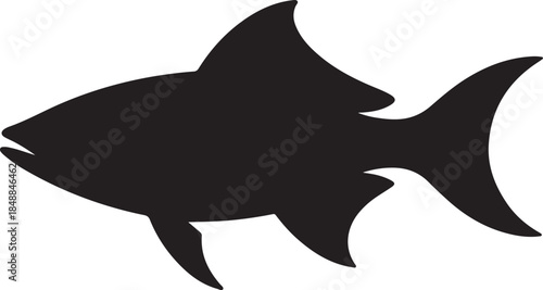 Fish Silhouette – Schooling Fish Vector Silhouette Black on White