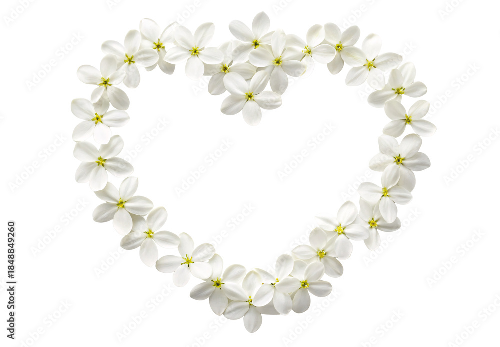 Obraz premium White flower heart shaped wreath simple elegant floral design, isolated on a transparent background