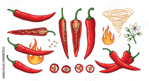 Large collection of red hot chili peppers, including whole pods, slices, seeds, flames, and flowers to show spiciness levels.