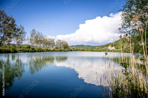 View of serene lake mirroring the azure sky and fluffy clouds, framed by verdant trees and reeds, offering a tranquil escape, Istria County, Croatia.