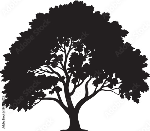 Foliage Tree Silhouette – Leafy Tree Vector Silhouette Black on White”