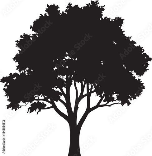Foliage Tree Silhouette – Leafy Tree Vector Silhouette Black on White”