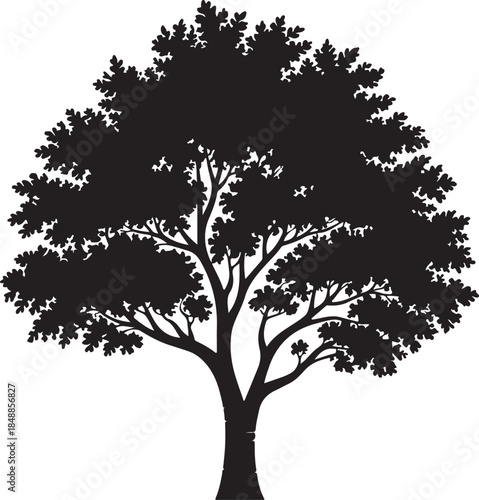 Foliage Tree Silhouette – Leafy Tree Vector Silhouette Black on White”