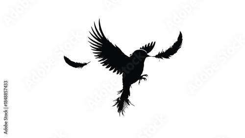 Black bird silhouette taking flight with feathers falling against a white background
