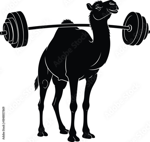 Fitness dromedary strong desert animal lifting a heavy barbell