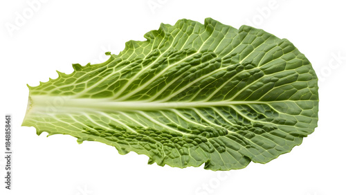 Single lettuce leaf isolated on transparent background