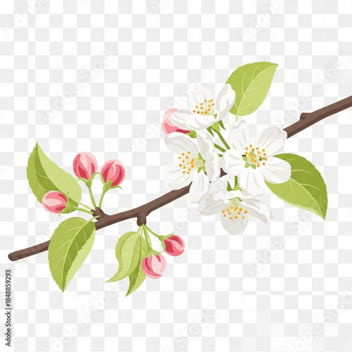 Blossom Branch: A delicate branch of an apple tree blooms, revealing the fresh blossoms and buds of spring, which brings a message of growth and renewal