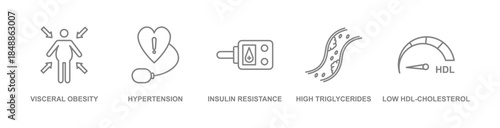 Metabolic Syndrome concept banner icon contain of visceral obesity, hypertension, insulin resistance, high triglycerides, and low hdl cholesterol vector illustration