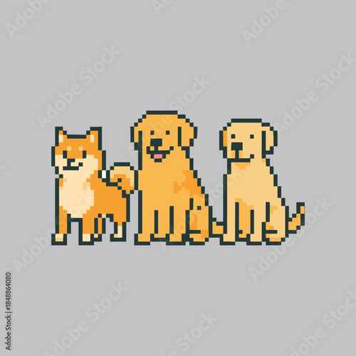 Pixelated Shiba inu, Golden retrievar and labrador dog icon logo flat vector design