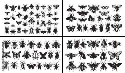 Insect Vector Icons, Bug Illustration Set, Nature Small Creatures, Beetle Butterfly Art, Seamless Insect Pattern, Garden Bug Collection, Wildlife Insect Vector, Nature Surface Design, Insect Illustrat