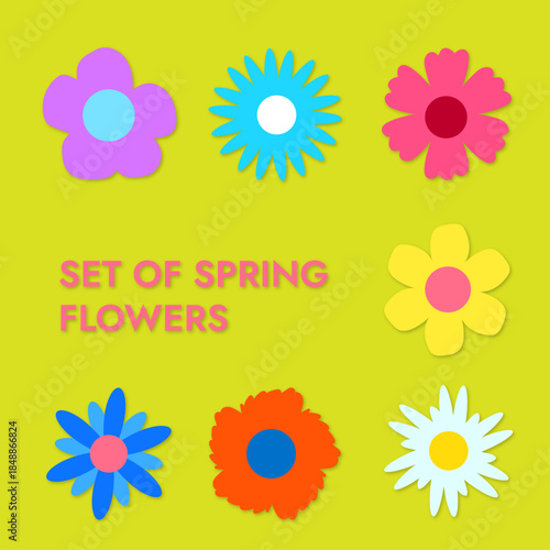 Set of spring flowers flat vector color set of different flowers on green background