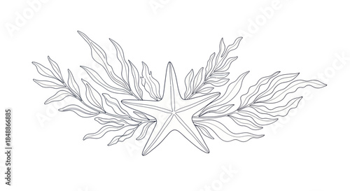 Underwater Marine Life with Starfish and Seaweed Line Art