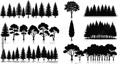 Forest tree silhouette set with pine and deciduous trees isolated on white background, landscape nature vector elements collection