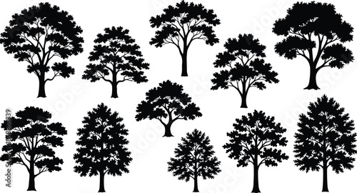 Detailed tree silhouette collection isolated on white background, realistic deciduous forest trees for nature landscape design illustration vector