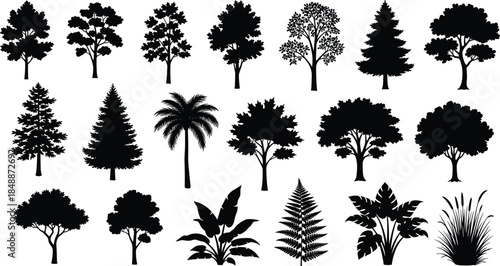 Tree and plant silhouette collection with forest tropical and garden vegetation isolated black vector illustration for landscape design