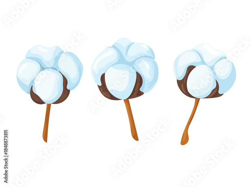 Cotton. Flat vector clipart, illustration with isolated background.