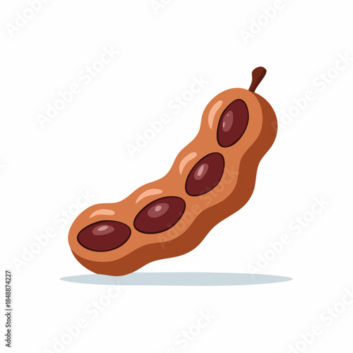 Cartoon tamarind fruit in a pod isolated illustration healthy snack ingredient vector icon, food cuisine, tropical agriculture plant