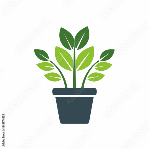 Green Plant Growing in a Dark Grey Pot simple eco friendly natural growth