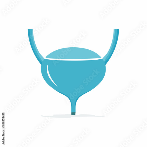 Bladder illustration human organ, urinary system, anatomy, medicine health concept, medical diagnosis