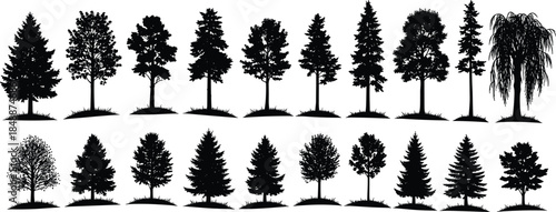 Tree silhouettes lineup, assorted forest trees, black nature outlines, isolated woodland elements, deciduous and evergreen shapes for vector design