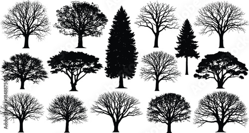 Realistic tree silhouette collection with detailed branches, deciduous and evergreen forest shapes, black nature vector illustration set