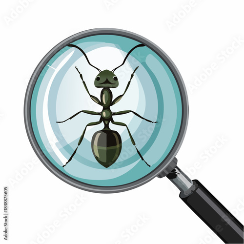 Une fourmi observée à la loupe, en gros plan, isolé sur fond blanc, entomologie, insecte