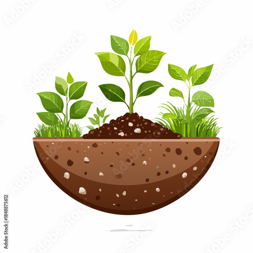 Illustration vectorielle de plantes poussant dans un sol fertile – coupe transversale