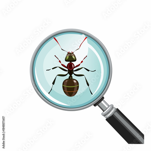 Une fourmi observée à la loupe, en gros plan, isolé sur fond blanc, entomologie, insecte